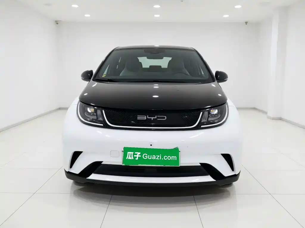 BYD Dolphin — миниатюра 2