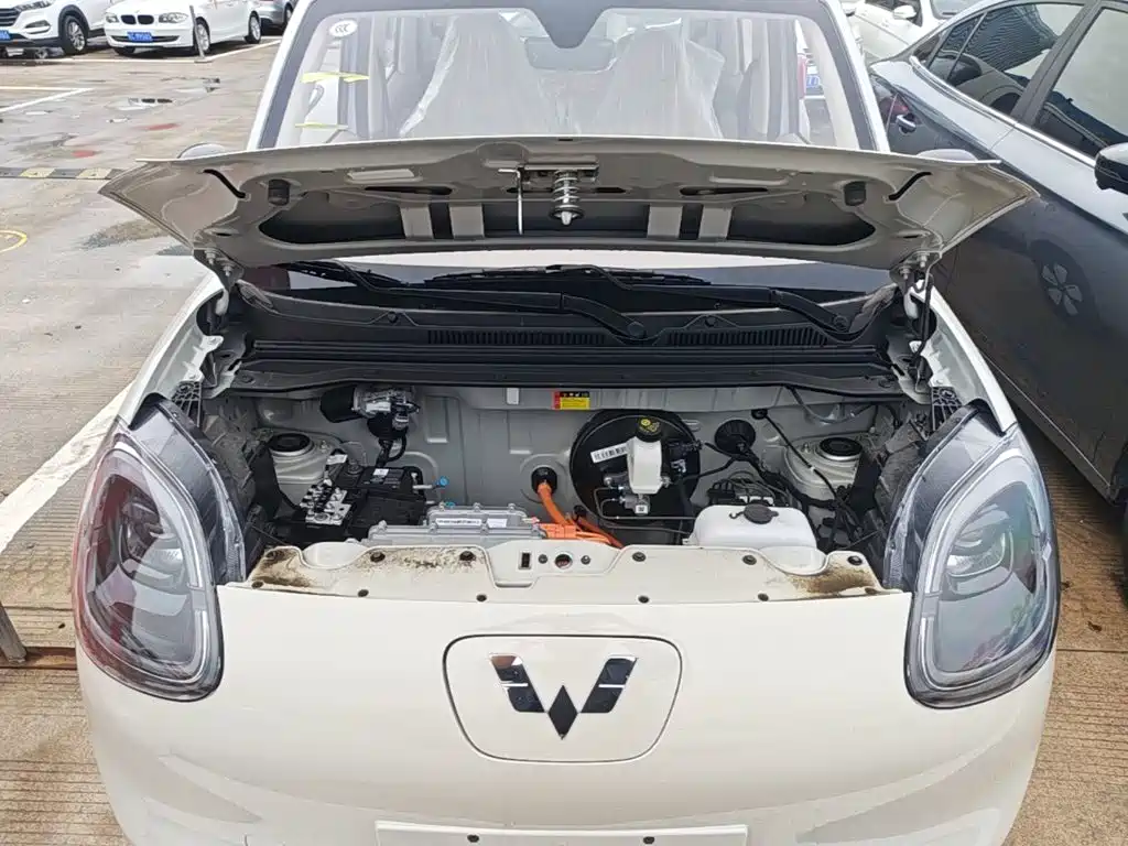 Wuling MINIEV — миниатюра 20