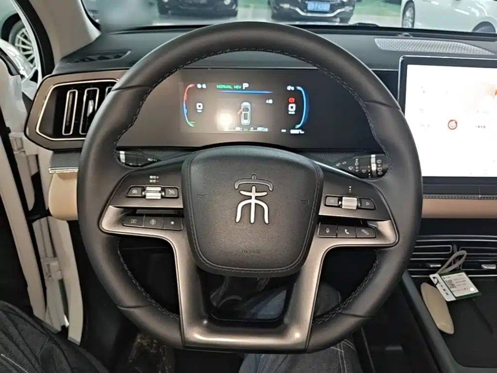BYD Song Pro DM-i 2025 — фото 10