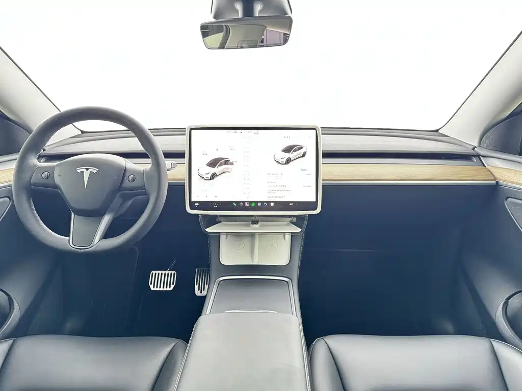 Tesla Model Y — миниатюра 5