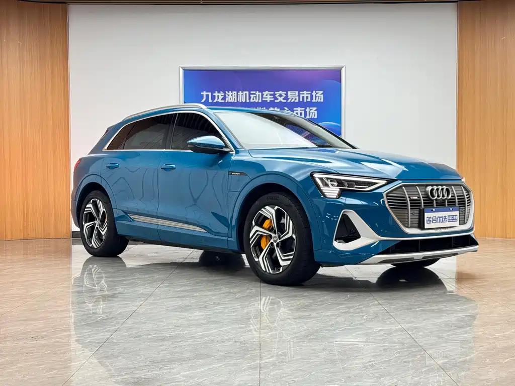 Audi e-tron — миниатюра 3