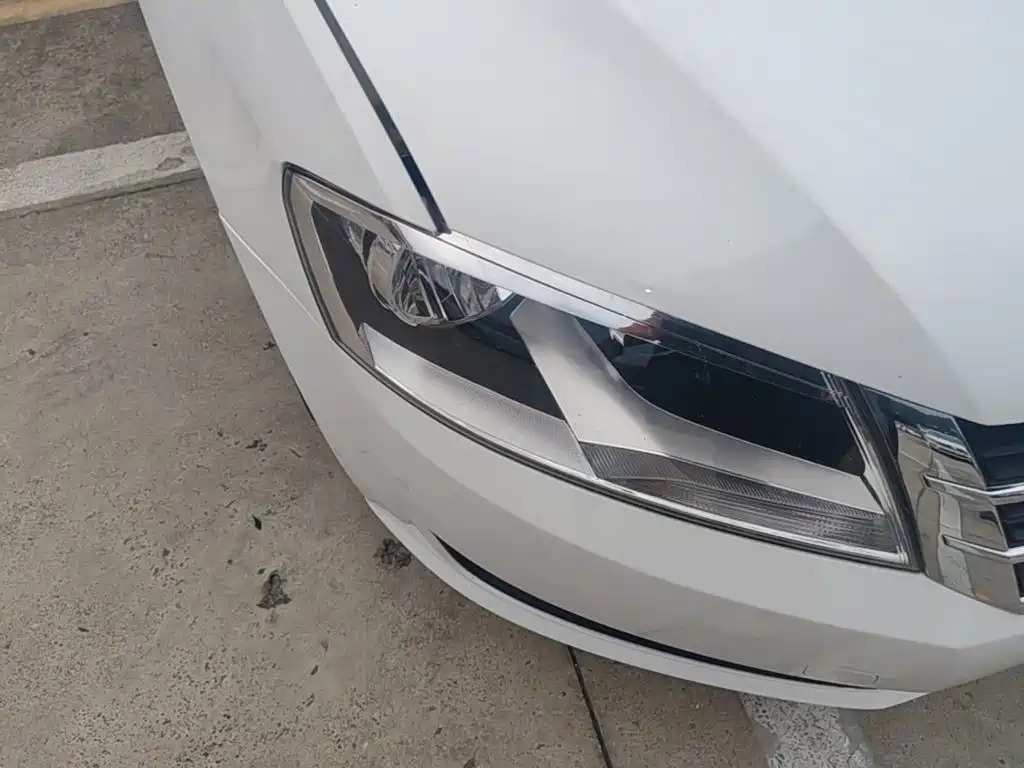 Volkswagen Gran Lavida — миниатюра 11