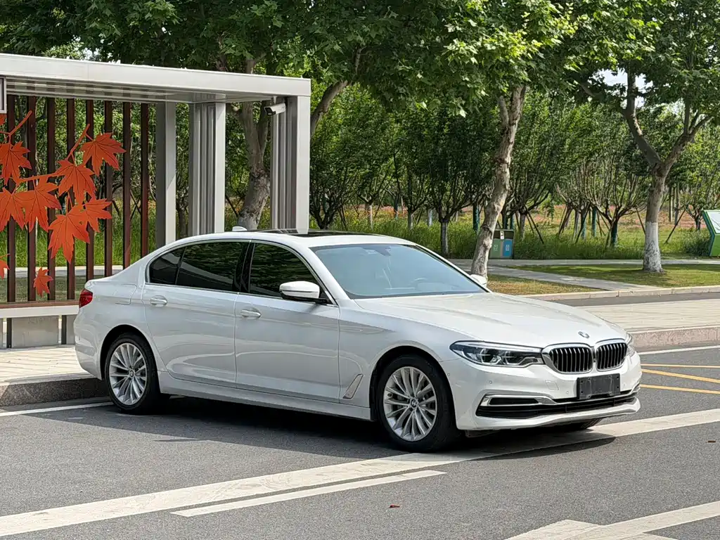 BMW 5 Series — миниатюра 3