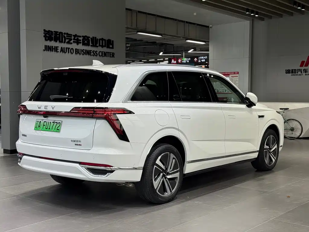 WEI PAI WEI BRAND BLUE MOUNTAIN