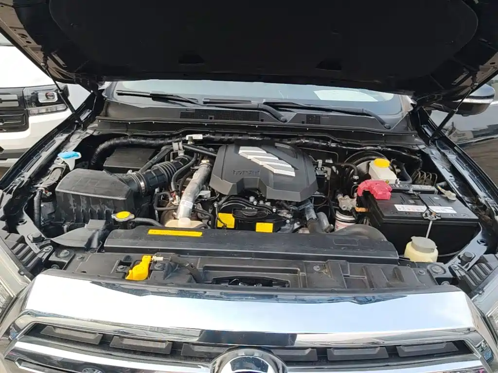 Dongfeng Rich 6 — миниатюра 20