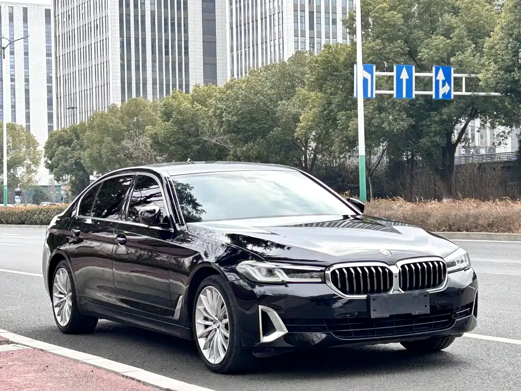 BMW 5 Series 5 2021 530Li Premium Luxury