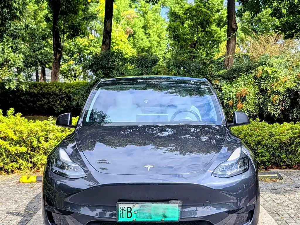 Tesla Model Y — миниатюра 14