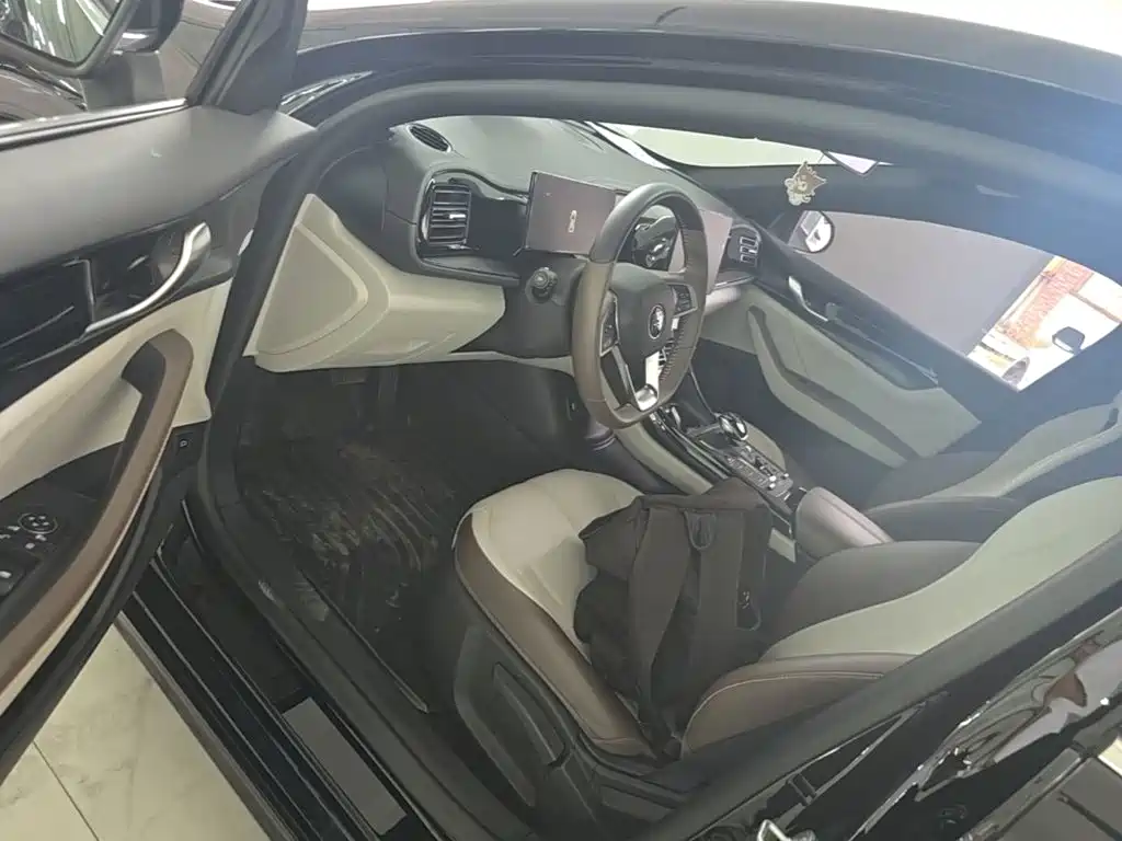 BYD Qin PLUS — миниатюра 16