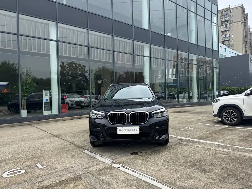 BMW X3 — миниатюра 2