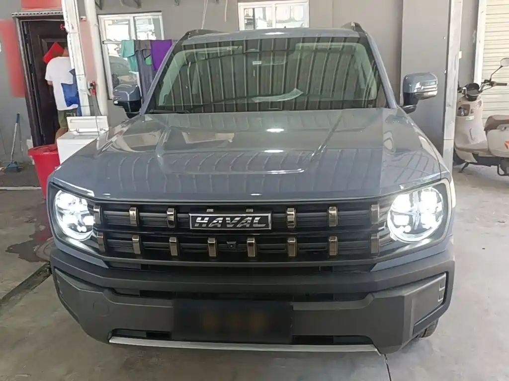 Haval Cool Dog — миниатюра 3