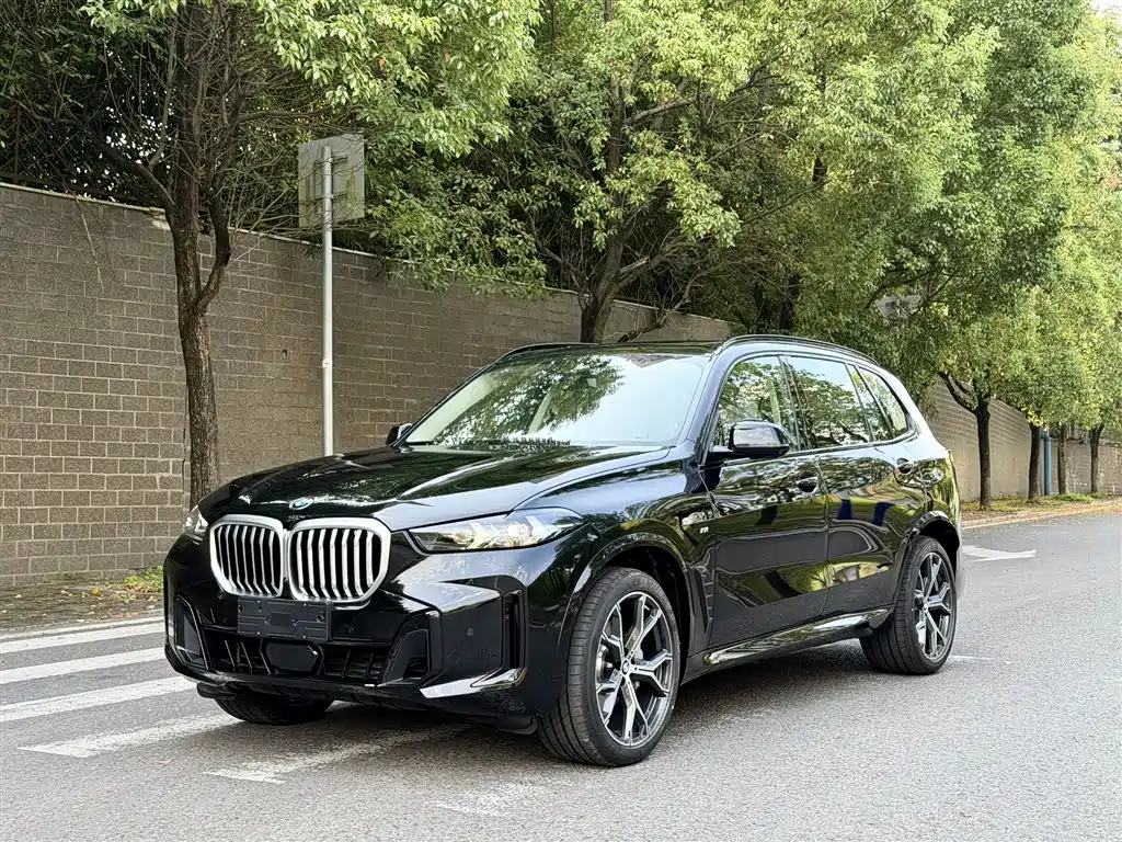 BMW X5 — миниатюра 2