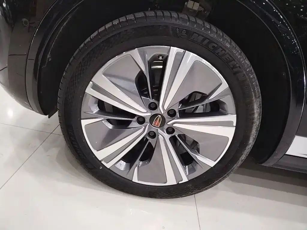 Hongqi Hongqi E-HS9 — миниатюра 23