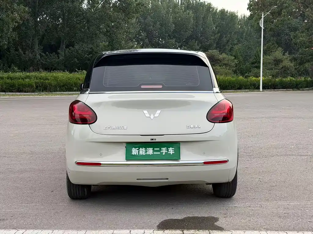 Wuling Binguo 2024 333km Enjoy