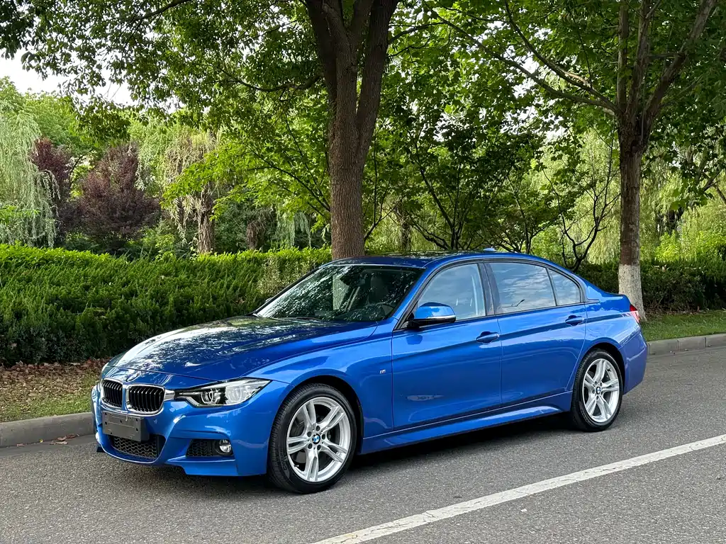 BMW 3 Series 3 2019 320Li M Sport