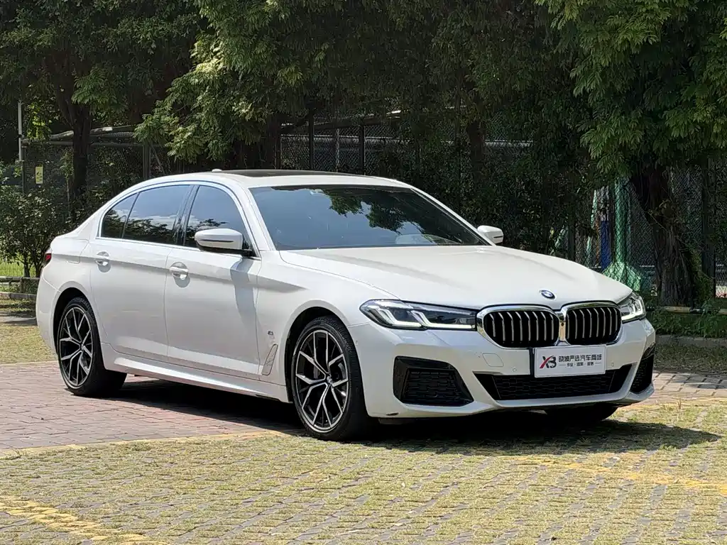 BMW 5 Series — миниатюра 3