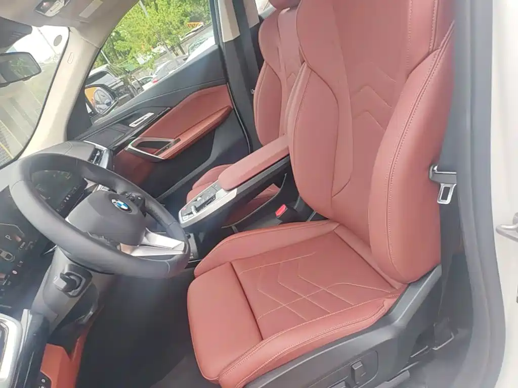 BMW X2 (Import) — миниатюра 15