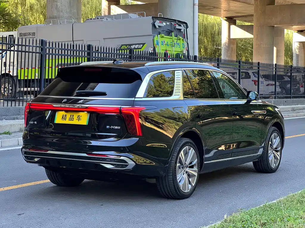 Hongqi Hongqi E-HS9 — миниатюра 7