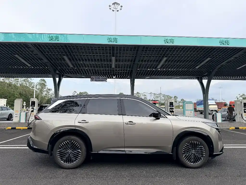 Nissan Teramont — миниатюра 16