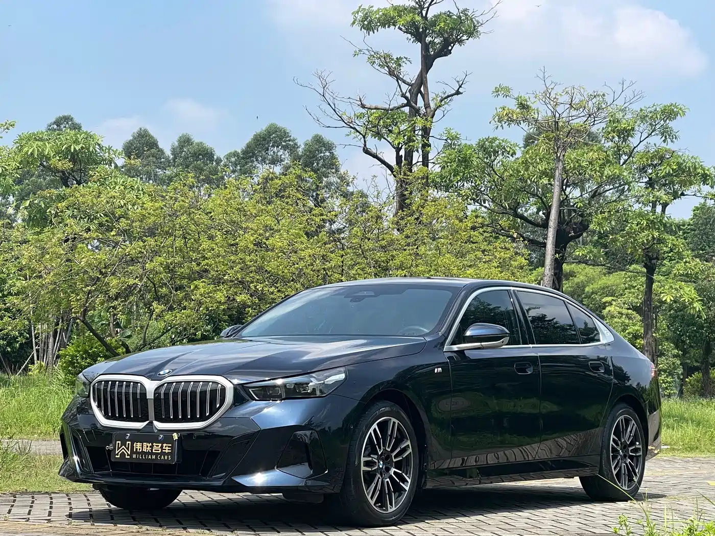 宝马5系 2025款 530Li 领先型 M运动套装 2025
