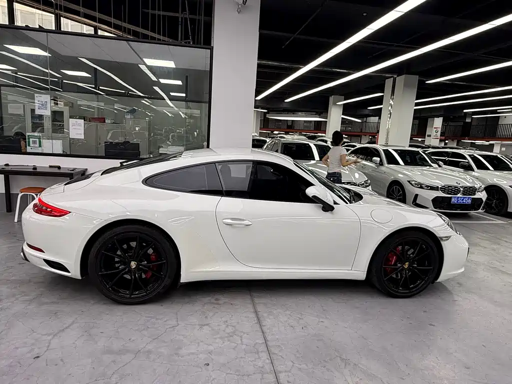 Porsche 911 — миниатюра 13