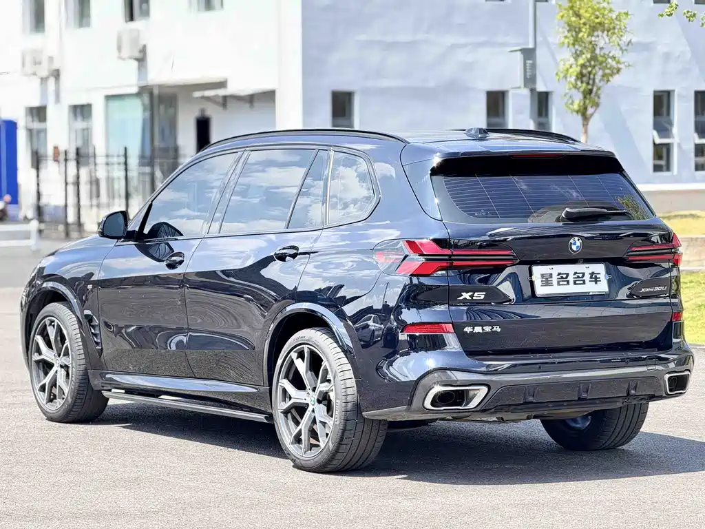 BMW X5 — миниатюра 10