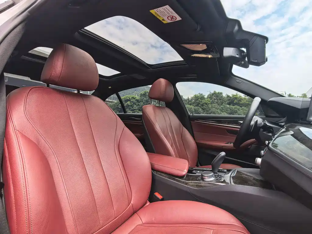 BMW 5 Series 5 2019 530Li Premium M Sport