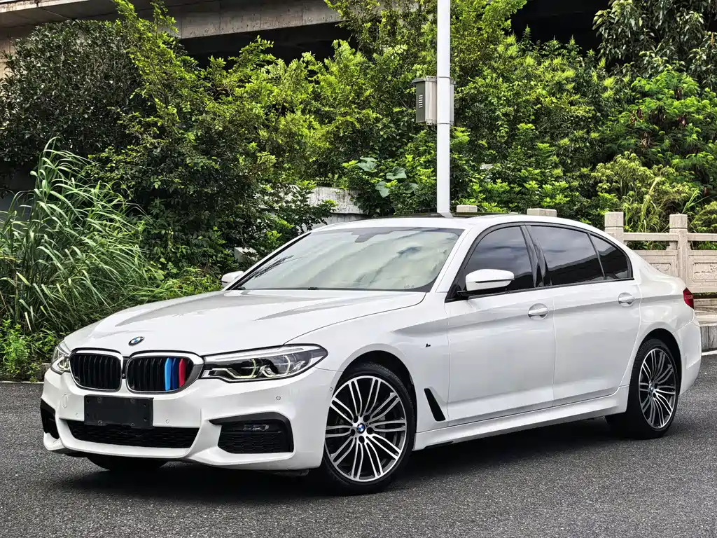 BMW 5 Series 5 2019 530Li Premium M Sport