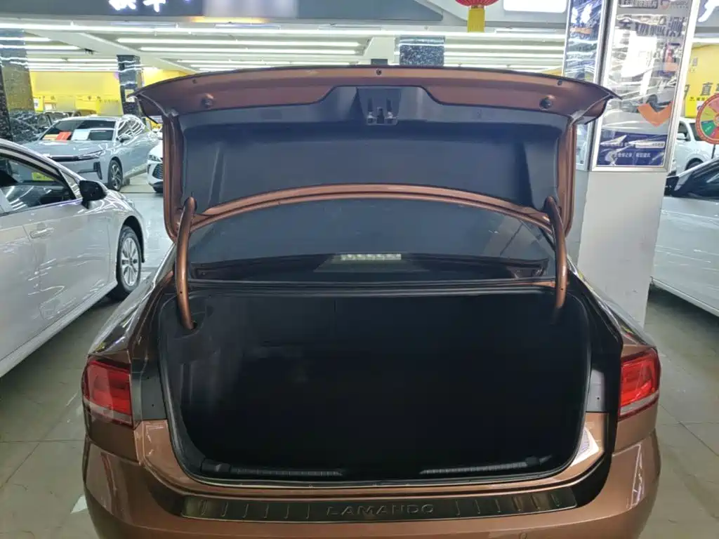 Volkswagen Lamando — миниатюра 19