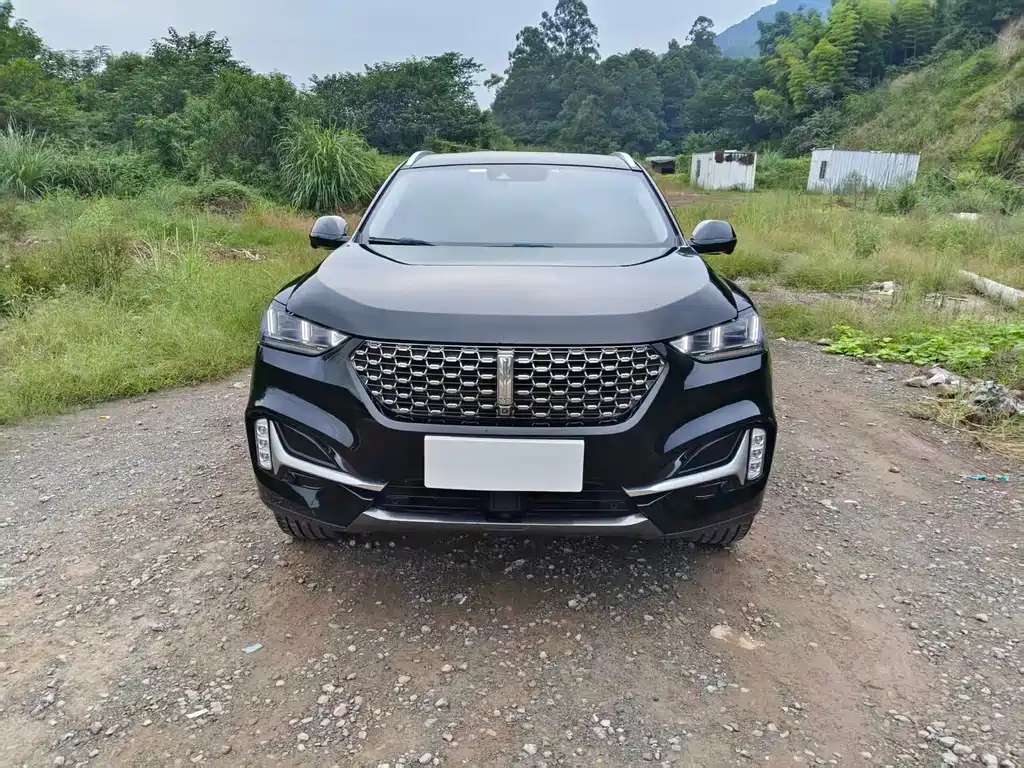 Wey Wey VV6 — миниатюра 2