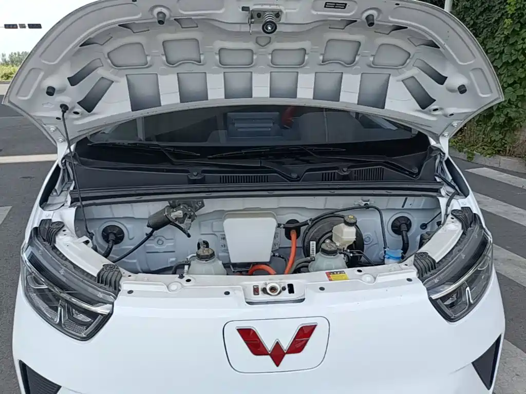 Wuling Yangguang — миниатюра 20