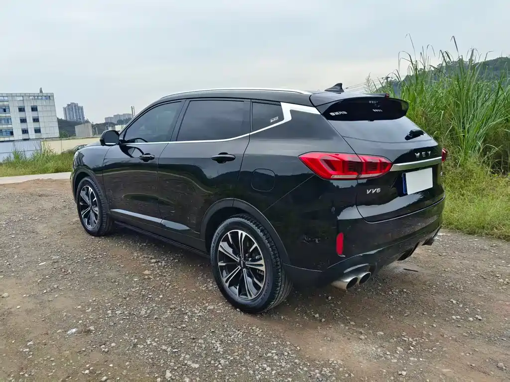 Wey Wey VV6 — миниатюра 8