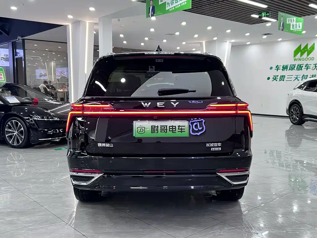 WEI PAI WEI BRAND BLUE MOUNTAIN