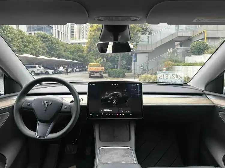 Tesla Model Y — миниатюра 7
