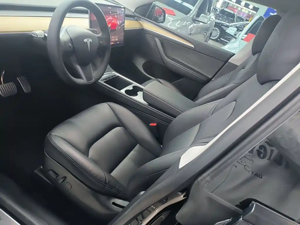 Tesla Model Y — миниатюра 15