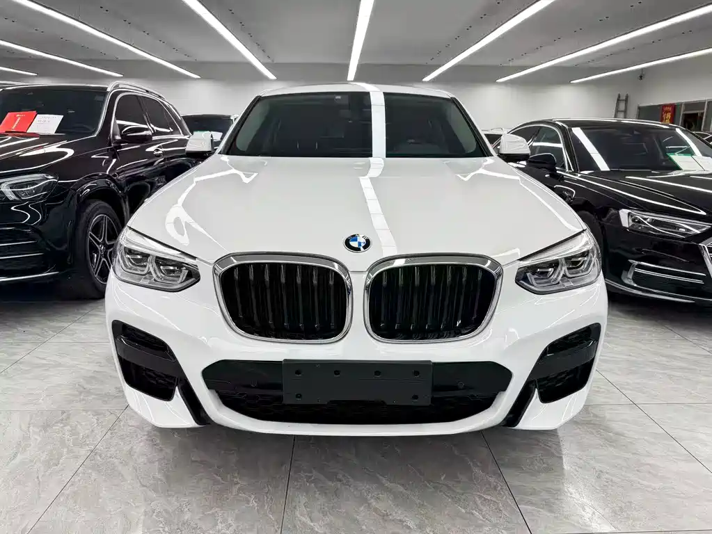 BMW X4 — миниатюра 2