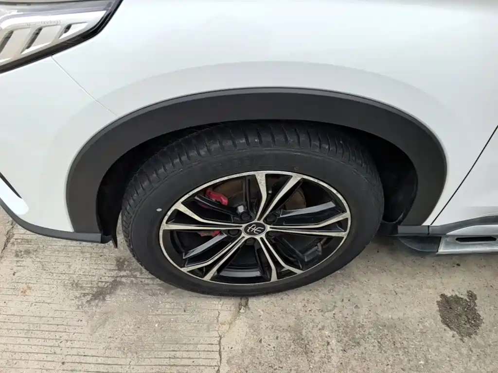 BYD PLUS — миниатюра 23