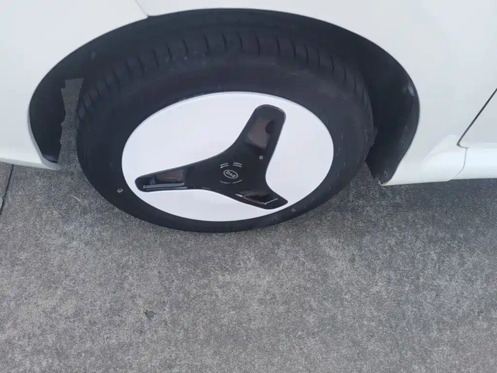 BYD F0 — миниатюра 23