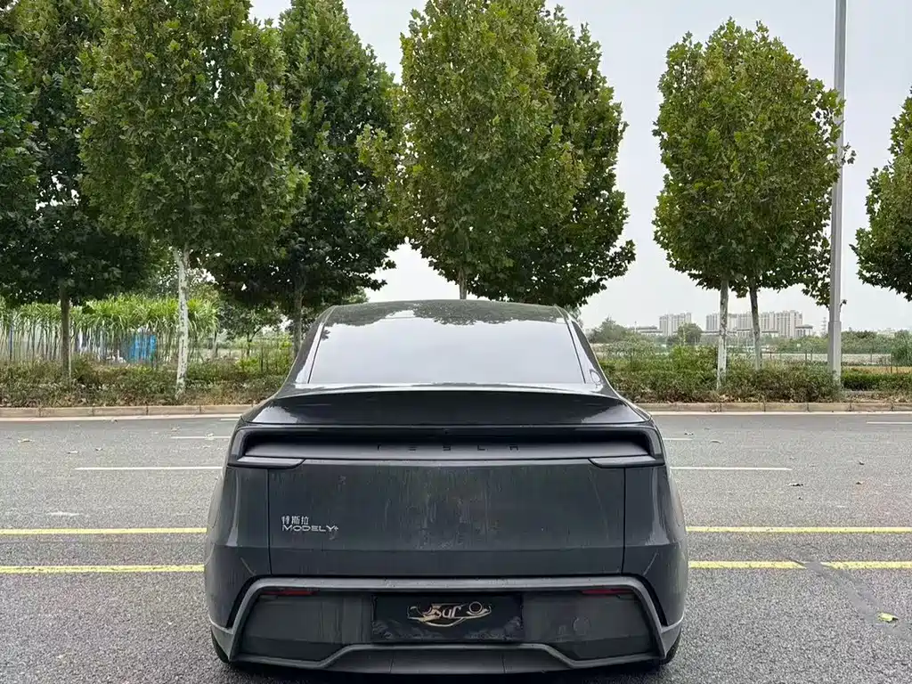 Tesla Model Y — миниатюра 8