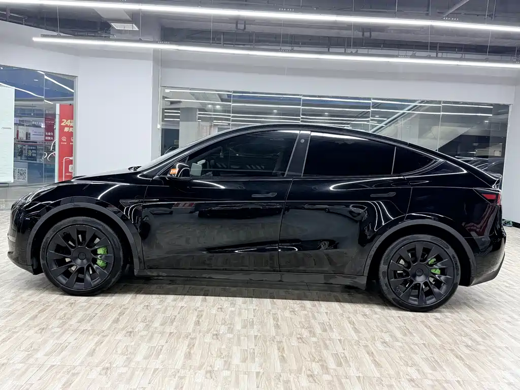 Tesla Model Y — миниатюра 2