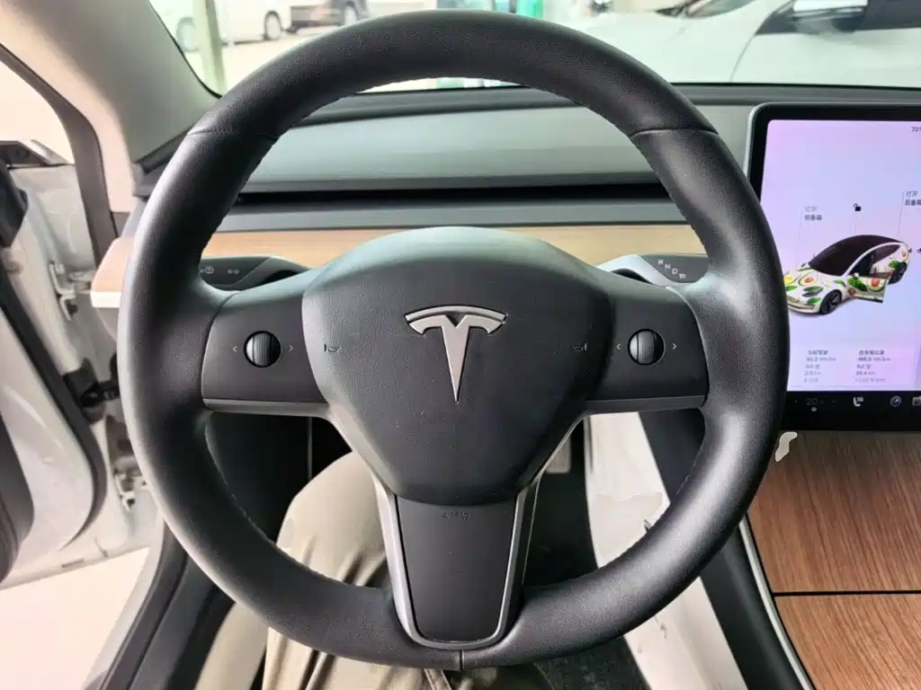 Tesla Model 3 — миниатюра 11