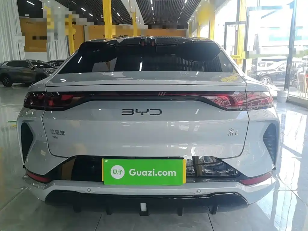 BYD L EV — миниатюра 6
