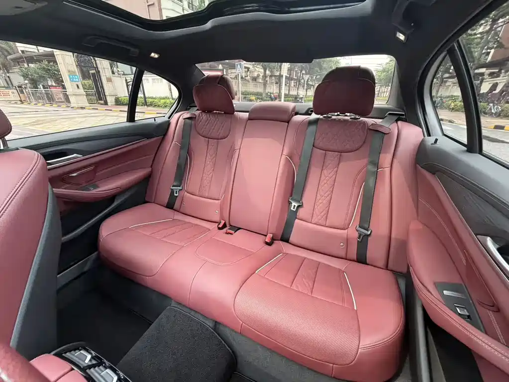 BMW 5 Series 5 2021 530Li xDrive M Sport