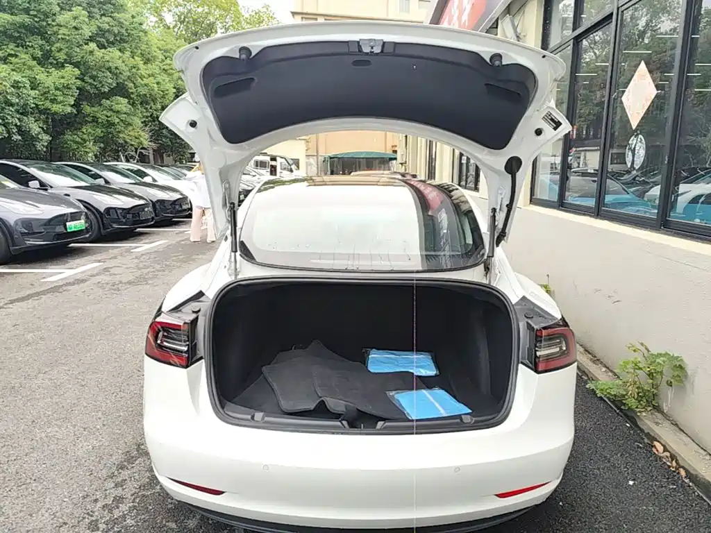 Tesla Model 3 — миниатюра 15