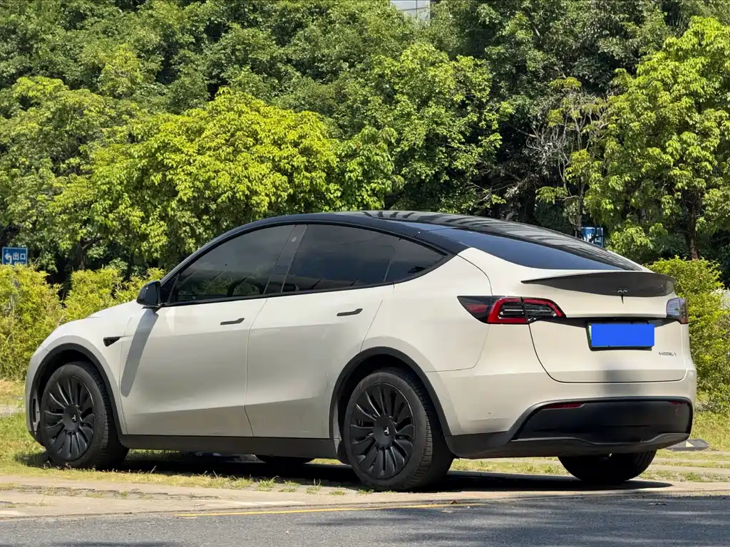 Tesla Model Y — миниатюра 15