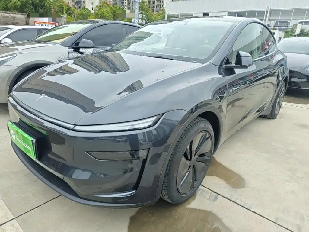 Tesla Model Y — миниатюра 2