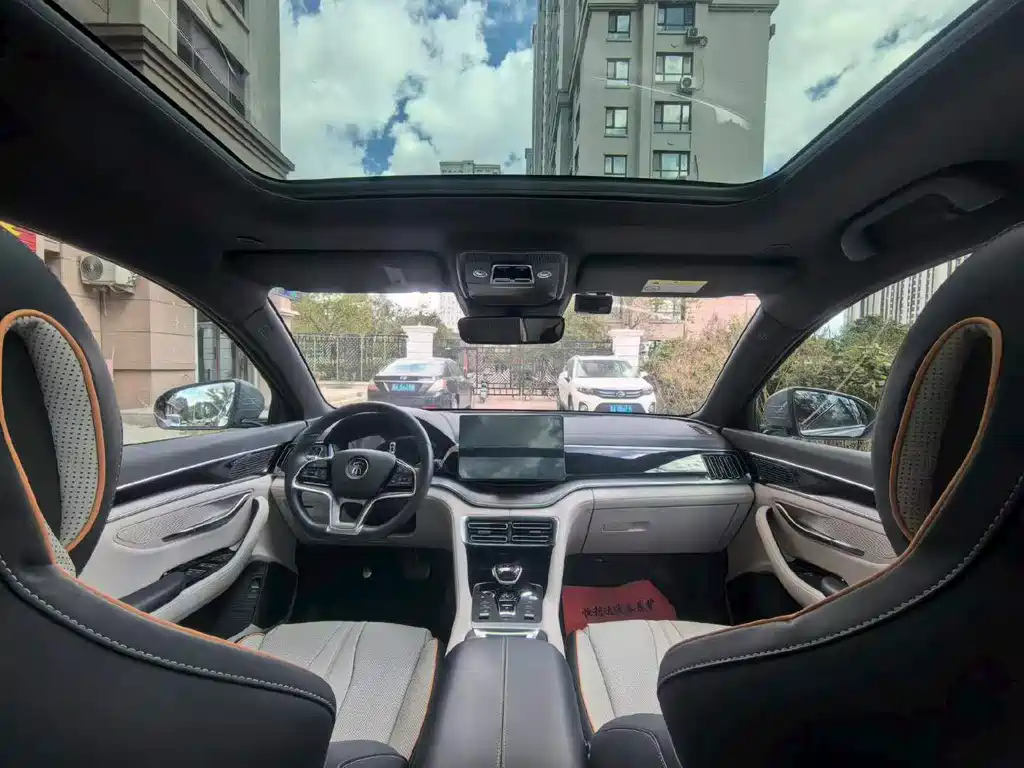 BYD PLUS New Energy — миниатюра 5