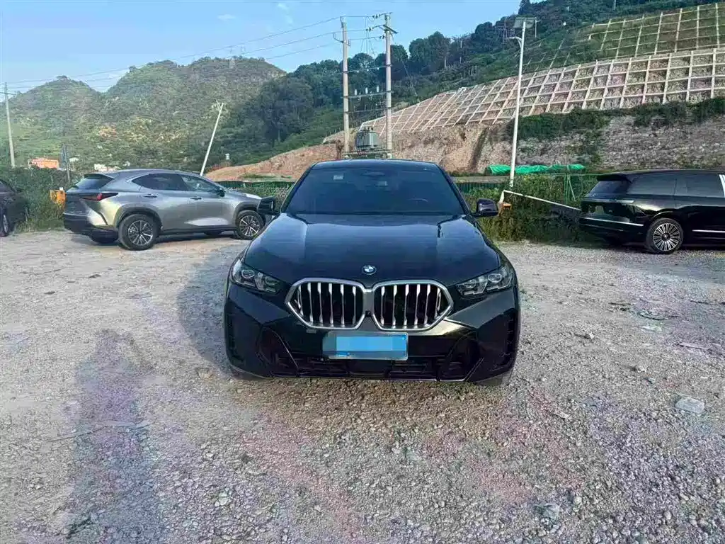 BMW X6 — миниатюра 2