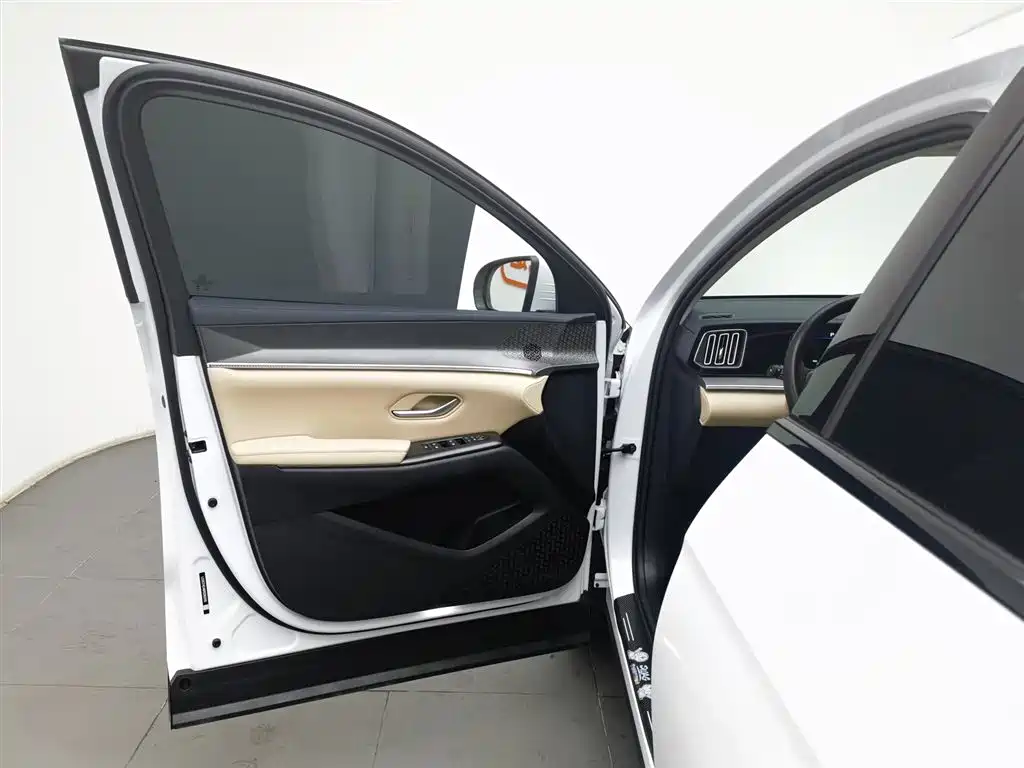 BYD SONGJIANG NEW ENERGY