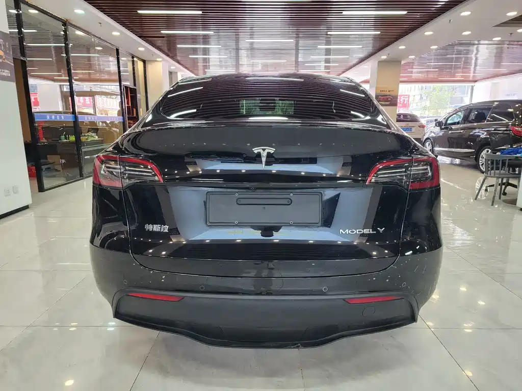 Tesla Model Y — миниатюра 4