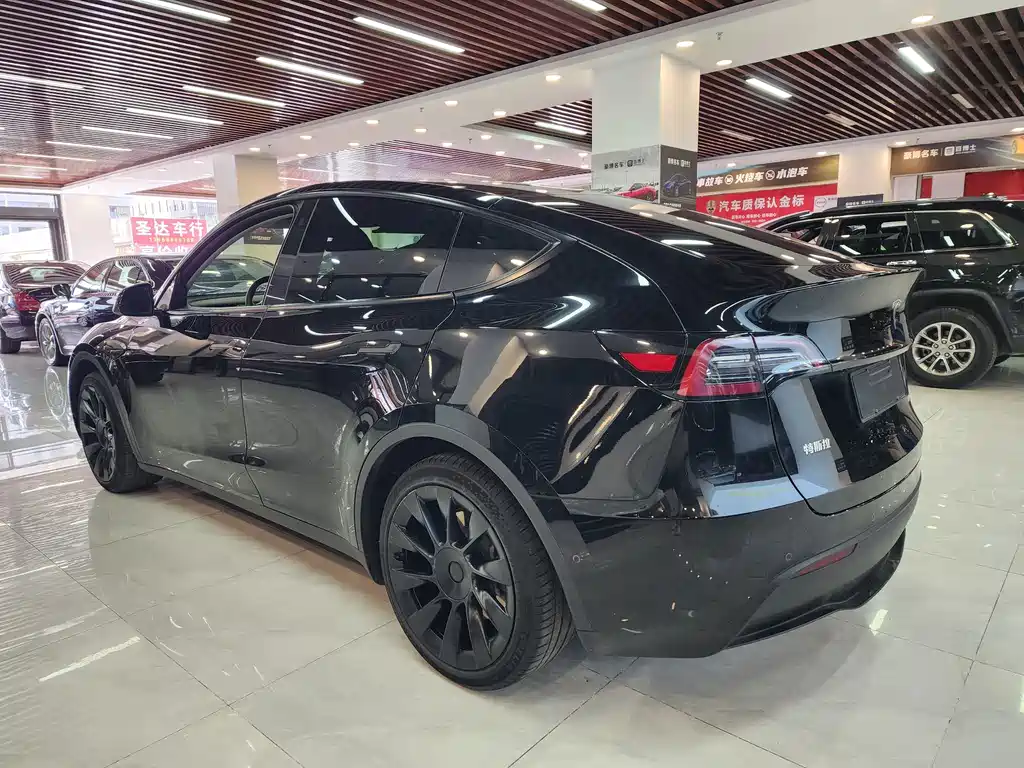 Tesla Model Y — миниатюра 5